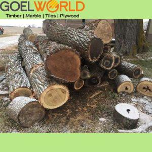 Walnut wood img 1