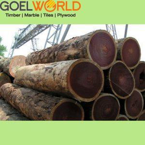 Wenge wood img 3