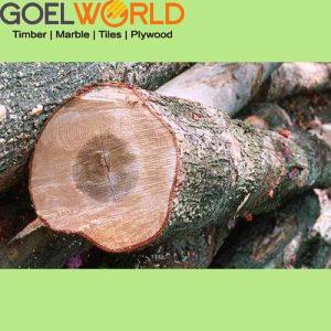 maple-wood-img 2