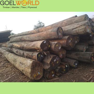 mlh-wood img 3