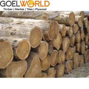 sheesham-wood-img-1