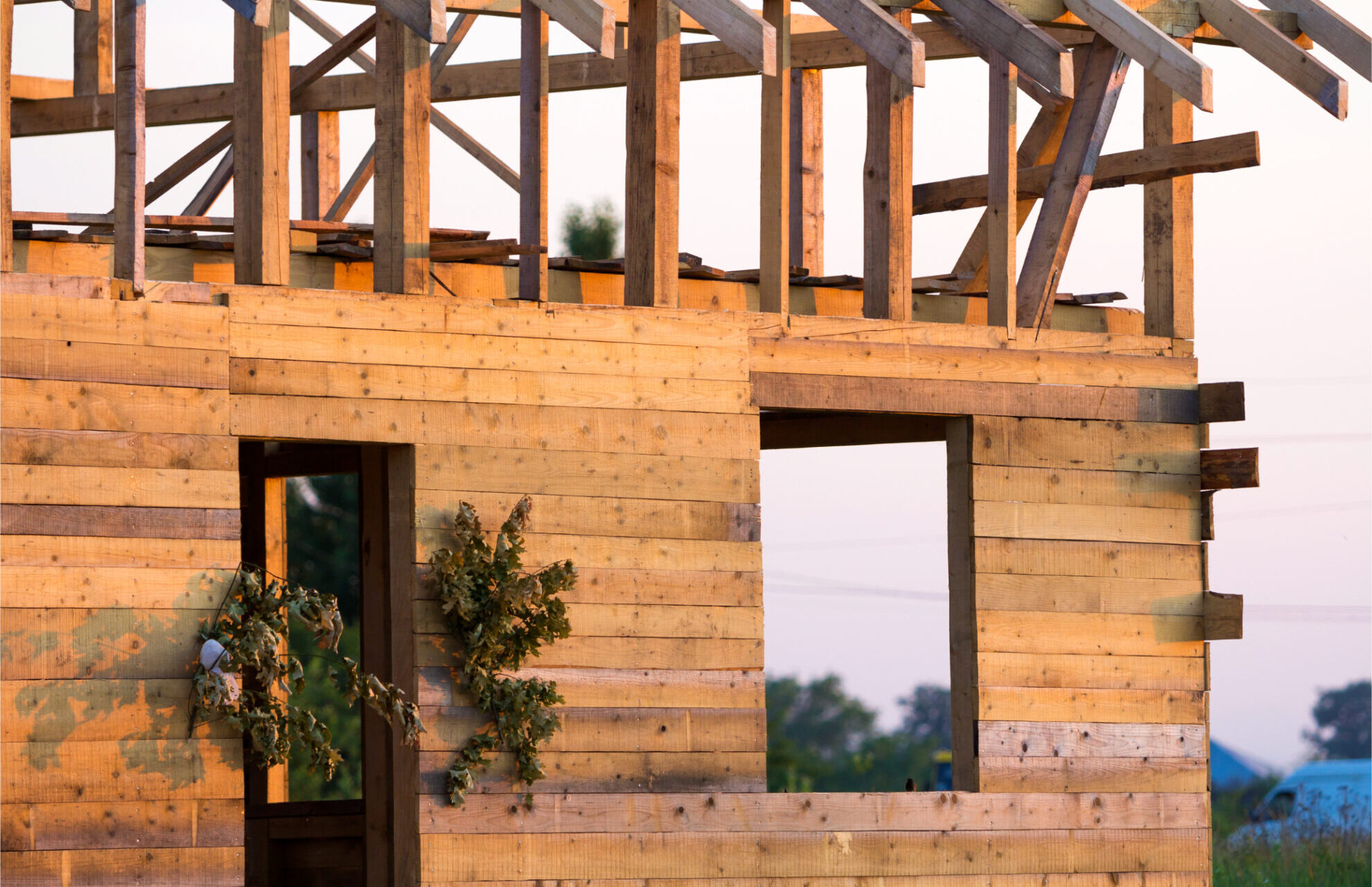 Sustainable Timber Options for Eco-Conscious Home Builders