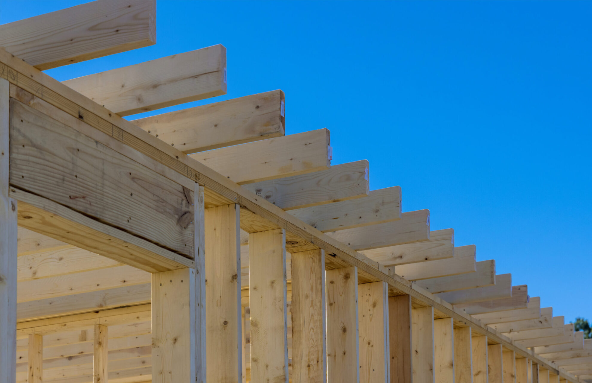 How to Select the Best Timber for Your Home’s Structural Framework