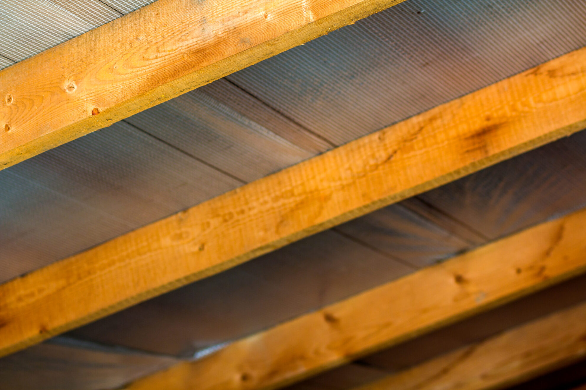 How to Ensure Your Structural Timber Stays Protected from Moisture