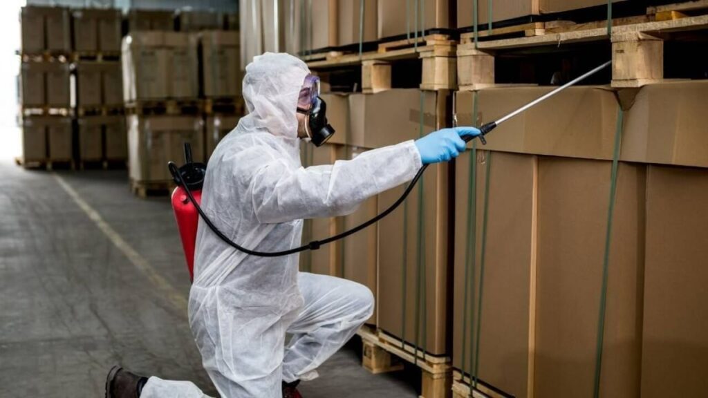 How to Protect Wooden Furniture from Termites in Indian Homes img