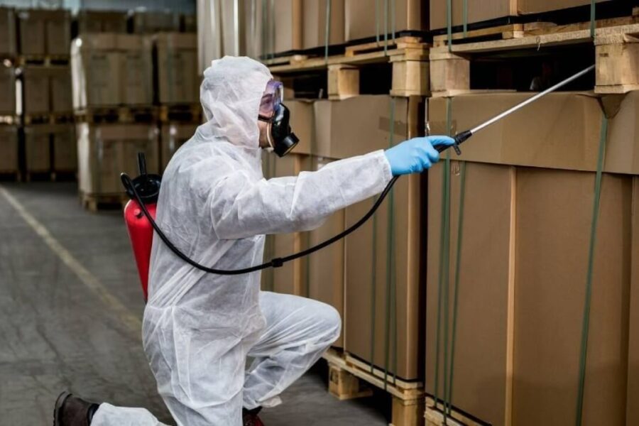 How to Protect Wooden Furniture from Termites in Indian Homes img