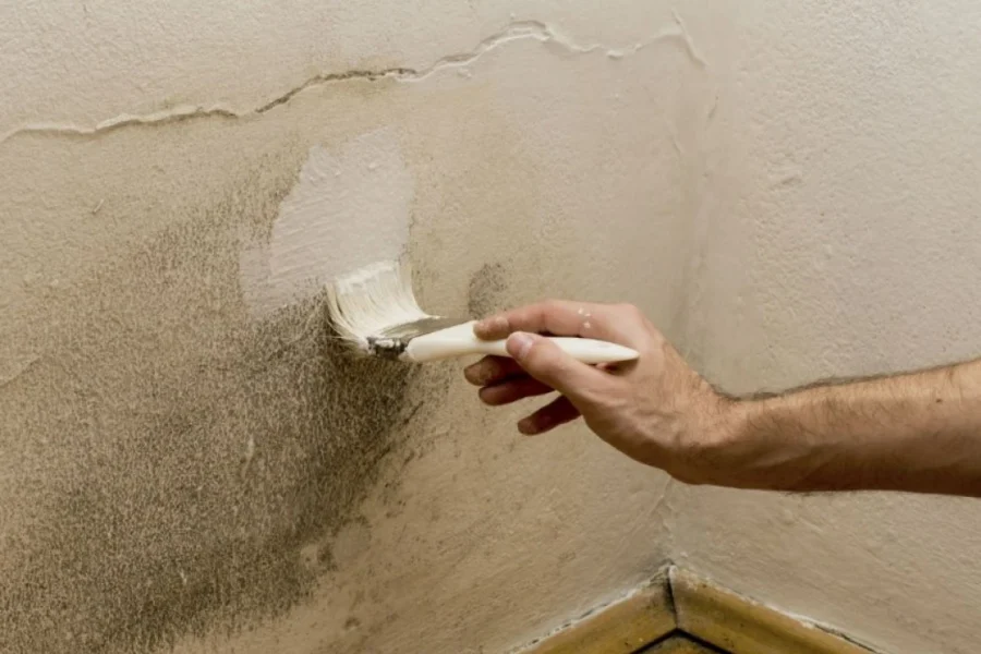How to Protect Your Home from Moisture and Mold During Monsoons img 1